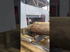 segheria elettrica pesante