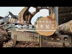 Segheria verticale della banda con il trasporto del ceppo di CNC