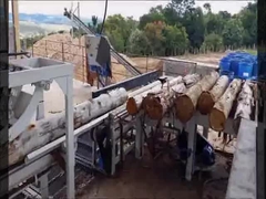 Lo strappo rotondo del legname dei ceppi ha visto la macchina automatica della sega dello strappo della falegnameria dell'invertitore