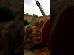 Macchina a taglio incrociato per grandi tronchi seghe a catena