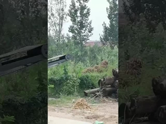 Macchine per la rimozione della corteccia degli alberi