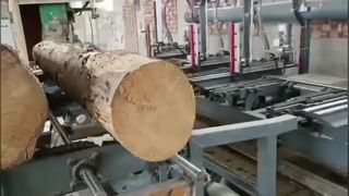 Segheria a nastro verticale con trasporto tronchi idraulico - presa tronchi pneumatica