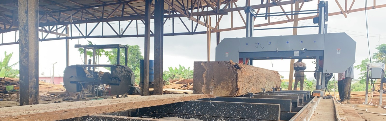 qualità Segheria portatile di legno fabbrica