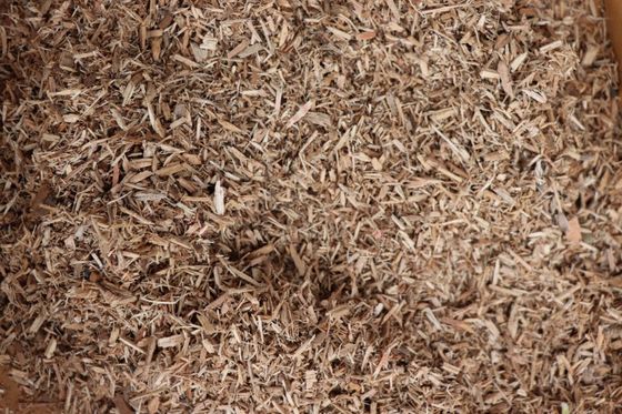 Wood Chipper Wood Sawdust Crusher Machine with Sawdust Collector for Wood Pellet