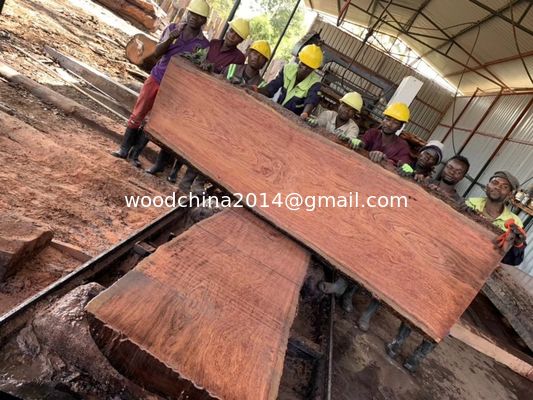Cina Fabbrica di vendita di legno orizzontale portabile banda segata segatura per la macchina per segatura di legno