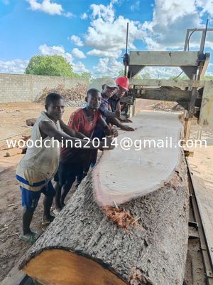 Macchine per segare il legno Legno per tagliare il legno Legno per segare il legno Molio di segatura portatile Molio di segatura a banda con motore a benzina o diesel