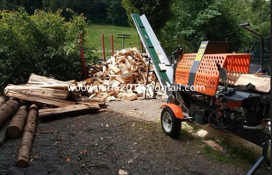 Potenza ed efficienza E Avvio Benzina Legno Splitter Legno da ardere