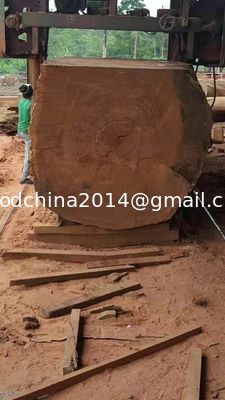 Macchine di taglio a seghe di legno di alta qualità