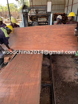 Macchina per segheria a nastro portatile CNC per il taglio del legno, sega a nastro automatica per legno